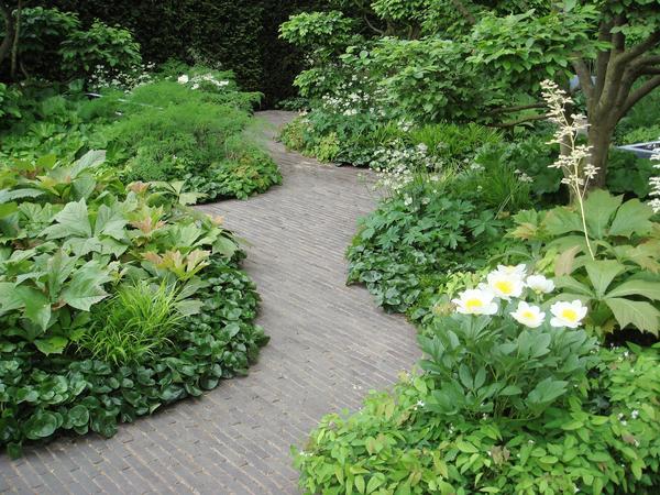 Savršeno dizajnirana staza na Chelsea Flower Showu (London). Fotografija autora