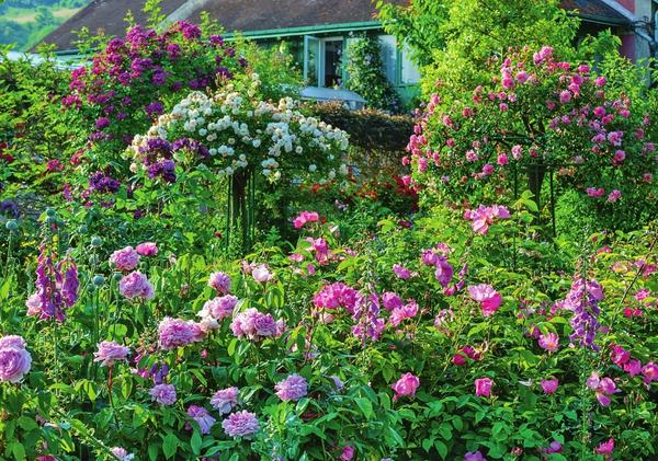 Vlasnik ovog vrta veliki je ljubitelj ruža, jer je parcela u cijelosti na raspolaganju kraljici cvijeća. Čak su i tradicionalno mjesto drveća zauzele standardne ljepotice