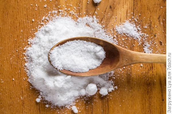 Jestiva kuhinjska sol